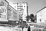 Foto: historische schwarz-weiß Aufnahme einer Wohnsiedlung, Laternen, Bäume, Bänke, 